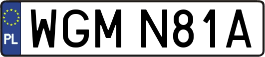 WGMN81A