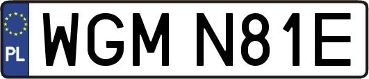 WGMN81E