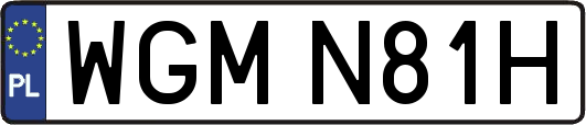 WGMN81H