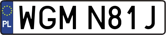 WGMN81J