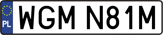 WGMN81M