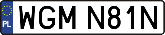 WGMN81N