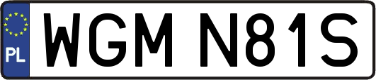 WGMN81S