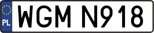 WGMN918