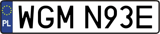 WGMN93E