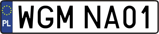 WGMNA01