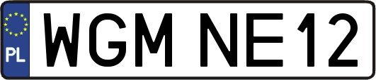 WGMNE12