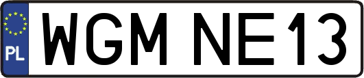 WGMNE13