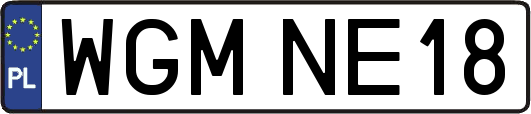 WGMNE18