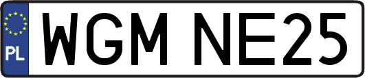 WGMNE25
