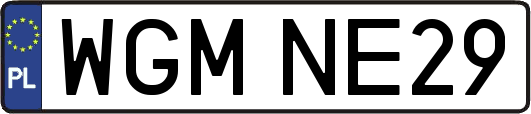 WGMNE29