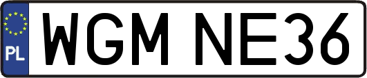 WGMNE36