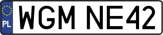 WGMNE42