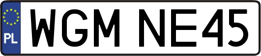 WGMNE45