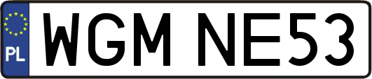 WGMNE53