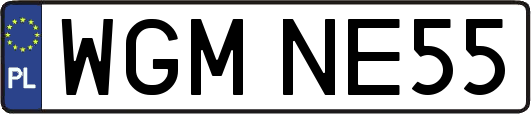 WGMNE55