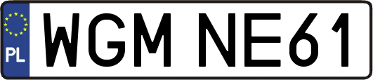 WGMNE61