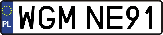 WGMNE91