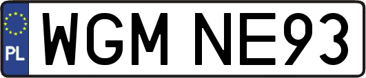WGMNE93