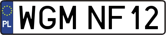 WGMNF12