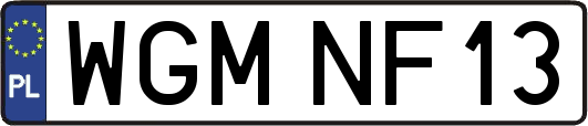 WGMNF13