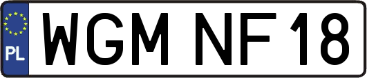 WGMNF18