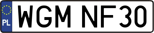 WGMNF30