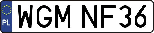 WGMNF36