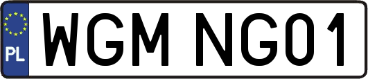 WGMNG01