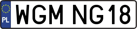 WGMNG18