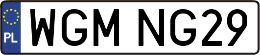WGMNG29