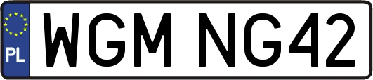 WGMNG42