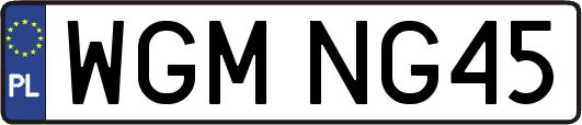 WGMNG45