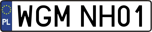 WGMNH01