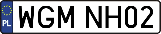 WGMNH02