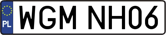 WGMNH06