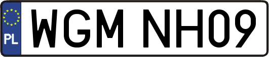 WGMNH09