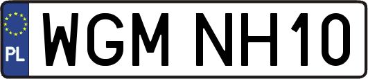 WGMNH10