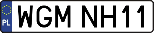 WGMNH11
