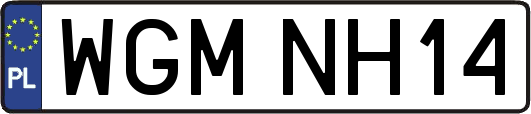 WGMNH14