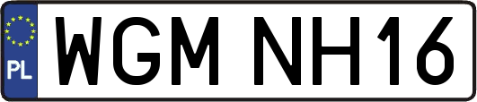 WGMNH16
