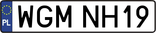 WGMNH19
