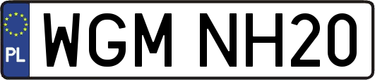 WGMNH20