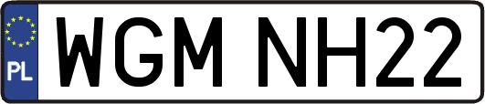 WGMNH22