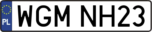 WGMNH23