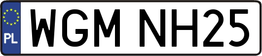 WGMNH25