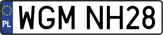 WGMNH28