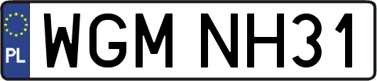 WGMNH31