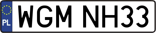 WGMNH33
