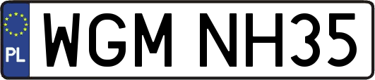 WGMNH35
